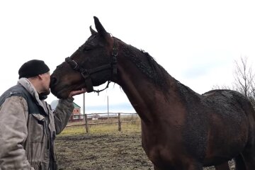 Mann mit dem Pferd. Quelle: Youtube Screenshot
