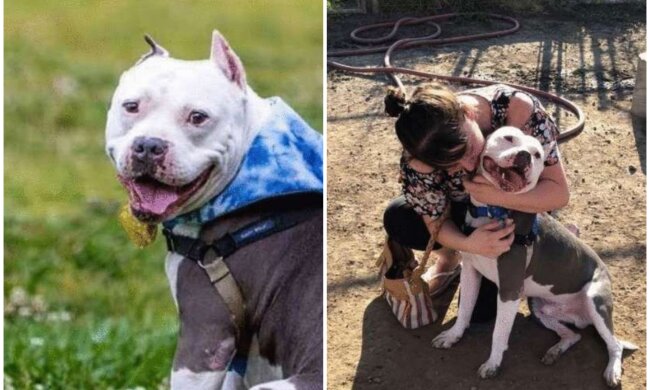 Lucy und Dodger. Quelle: Screenshot Youtube