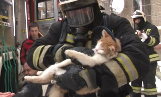 Lebenswichtige Arbeit