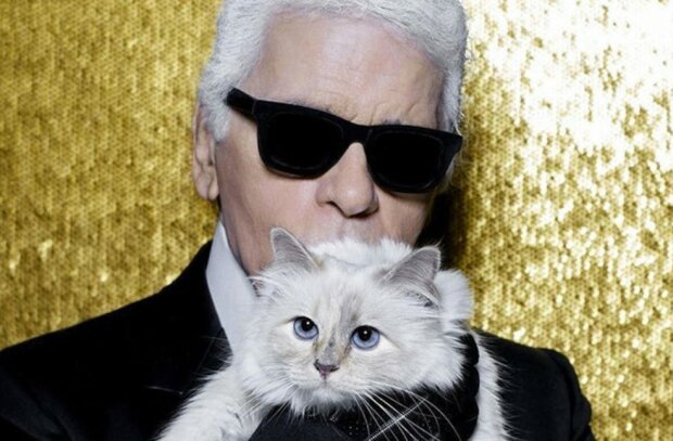 Ungewöhnliche Erbschaft: warum Karl Lagerfeld ein Multimillionen-Dollar-Erbe für die Katze hinterlassen hat