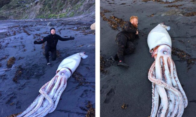 Quelle: Screenshot YouTube