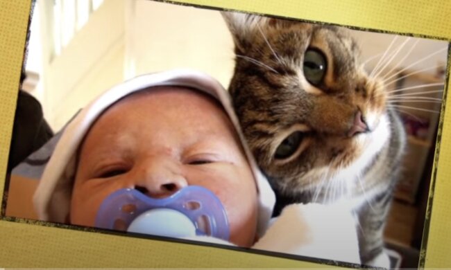 Katze und Kind. Quelle: Screenshot YouTube