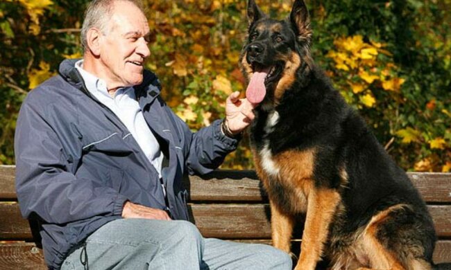 Der Rentner hat sein ganzes Spargeld ausgegeben, um das Leben des Freundes zu retten