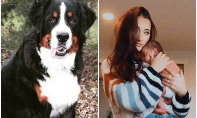 Hund Berkley, Christine und ihr Baby. Quelle: Screenshot Youtube
