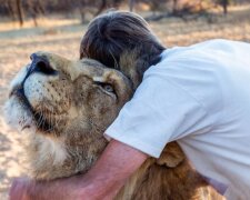Eine Geschichte über Freundschaft zwischen einem Löwen Zion und einem Mann namens Fricky