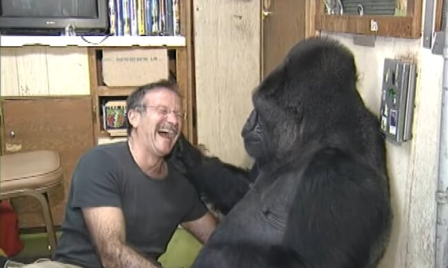 Robin Williams und Gorilla Coco. Quelle: Screenshot Youtube