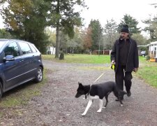 „Hundekot vor der Haustür“: Nachbarn erstatten Anzeige gegen rücksichtslose Hundebesitzer