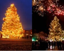 Riesiger Weihnachtsbaum. Quelle: Screenshot