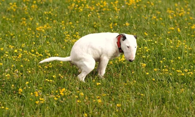 Symbolbild. Quelle: Youtube Screenshot