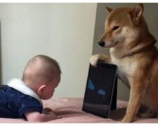 Das Baby und der Hund. Quelle: mimimetr.сom"