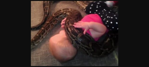 Das Kind ist mit Schlangen befreundet. Quelle: Youtube Screenshot