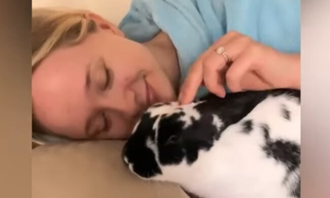 Neues Familienmitglied. Quelle: Screenshot YouTube