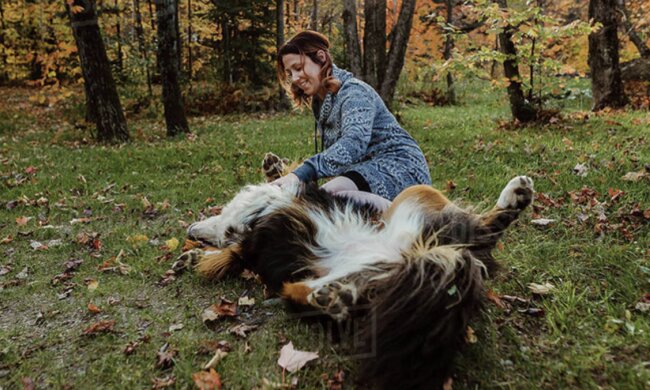 Amanda hat einen Weg gefunden, sich dem Hund zu nähern. Quelle: Screenshot YouTube