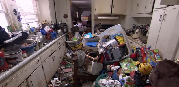 Zwischen Staub und Schimmel.  Quelle: Youtube Screenshot