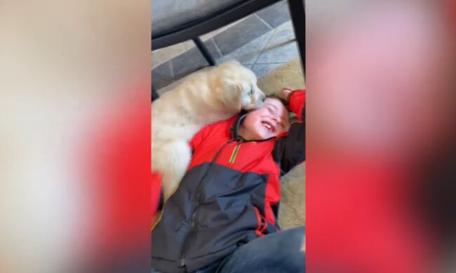 Ein Schicksal für zwei: Junge mit Beinprothese und Welpe ohne Pfote werden beste Freunde