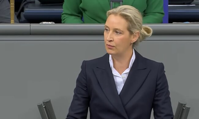 Wie weit die Deutschen gegen die AfD gehen würden. Quelle: Youtube Screenshot