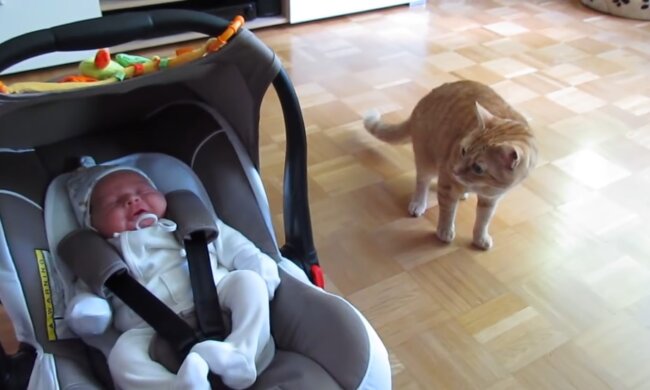 Baby mit der Katze. Quelle: Youtube Screenshot