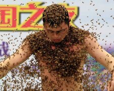 Warum ein Chinese und 63 Kilo Bienen ins Guinness-Buch der Rekorde gerieten