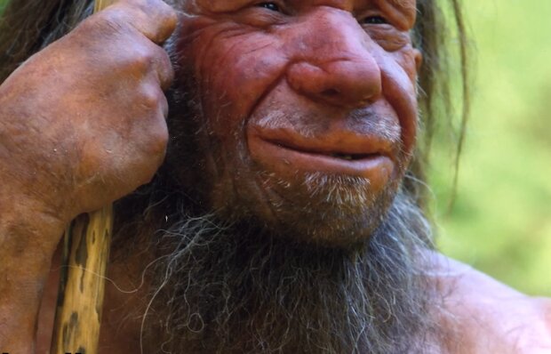 Neandertaler setzten auf Pflanzen. Quelle: Youtube Screenshot
