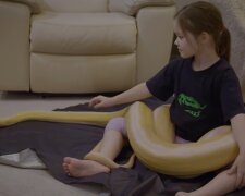 Der Vater sieht in der riesigen Schlange keine Gefahr. Quelle: Screenshot YouTube