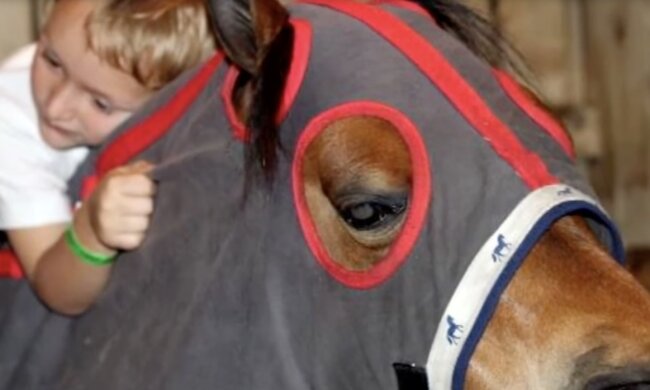 Lang erwartetet Freund. Quelle: Screenshot YouTube