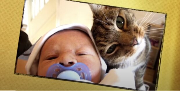 Katze und Kind. Quelle: Screenshot YouTube