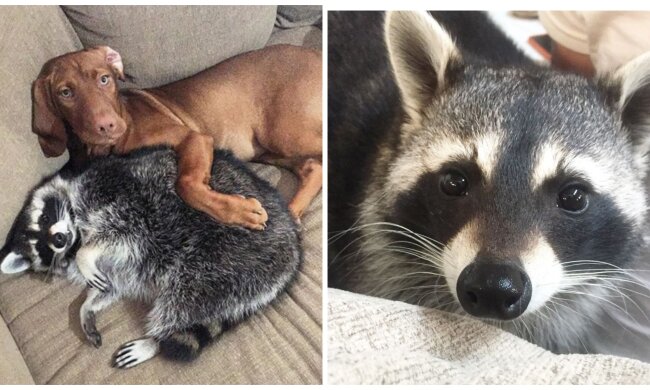 Gute Freunde. Quelle: Screenshot