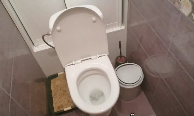 Knoblauch in der Toilette. Quelle: Youtube Screenshot