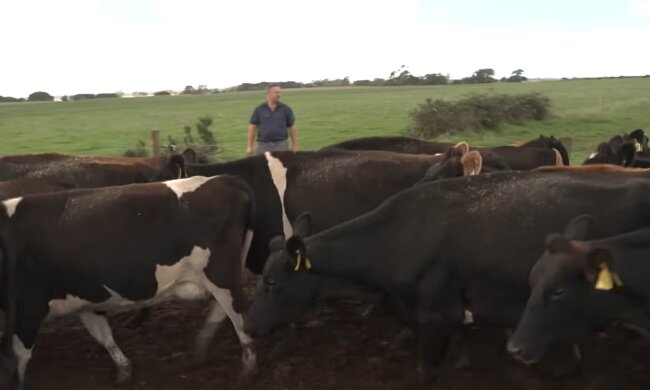 Steigende Kosten und sinkende Preise setzen Bauern unter Druck. Quelle: Youtube Screenshot