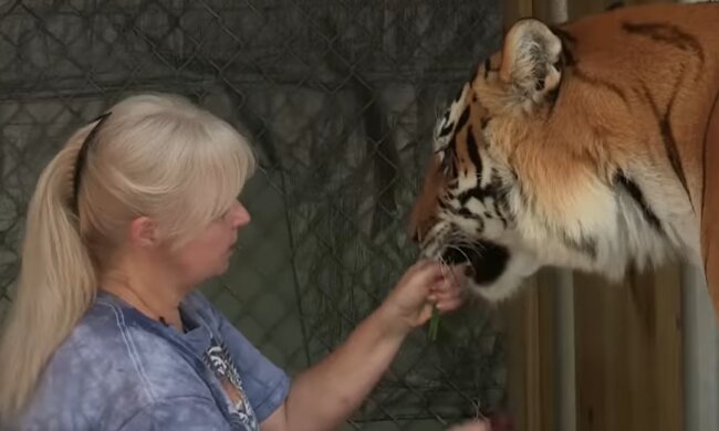 Die furchtlose Frau und der Tiger. Quelle: Youtube Screenshot