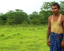 Gutes Herz: Wie ein Mann einen Wald pflanzte, in dem viele Tiere jetzt leben