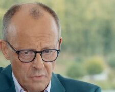 70 Prozent sollen Merz nicht unterstützen. Quelle: Youtube Screenshot