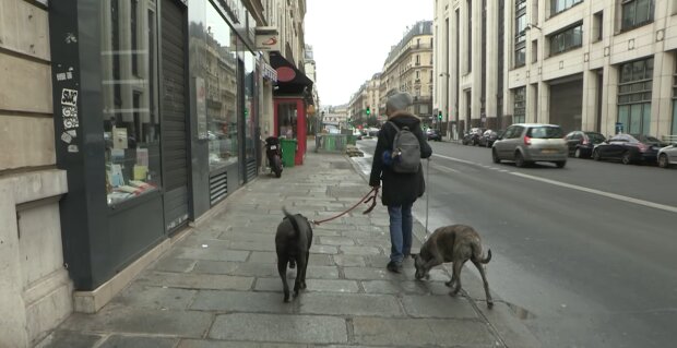 Bürgergeld-Bezieher belasten Krankenkassen – was steckt dahinter? Quelle: Youtube Screenshot