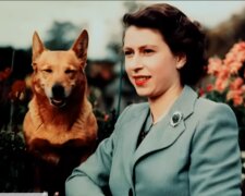 Corgi-Parade zieht zu Ehren der weggegangenen Königin zum Buckingham-Palast