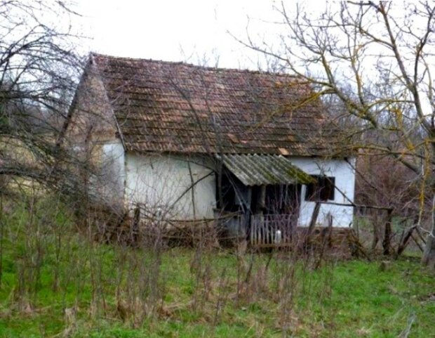 Das Brautpaar kaufte im Dorf eine Zuhälterhütte und verwandelte sie in ein Märchenhaus