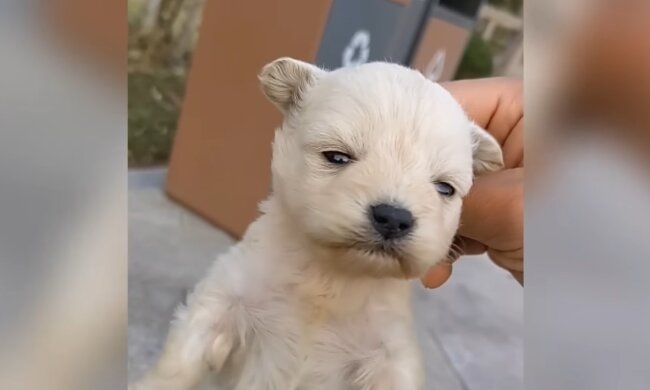 Vom Verlassenen zum Geliebten Freund. Quelle: Youtube Screenshot