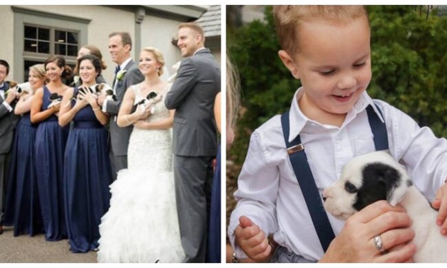 Hochzeit. Quelle: Screenshot
