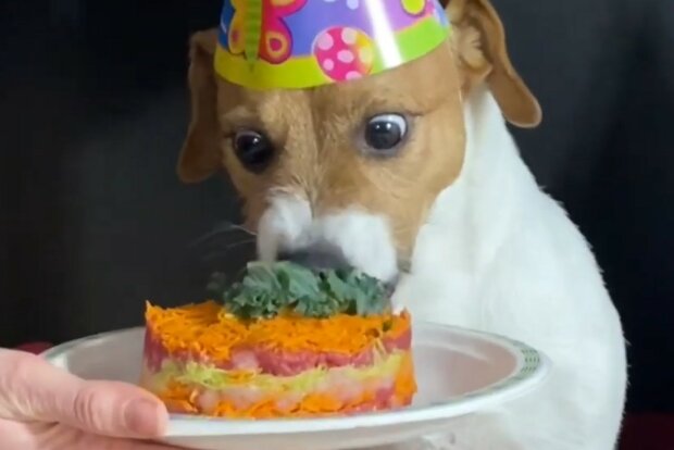 Geburtstagsfeier nach allen Regeln. Quelle: Screenshot YouTube