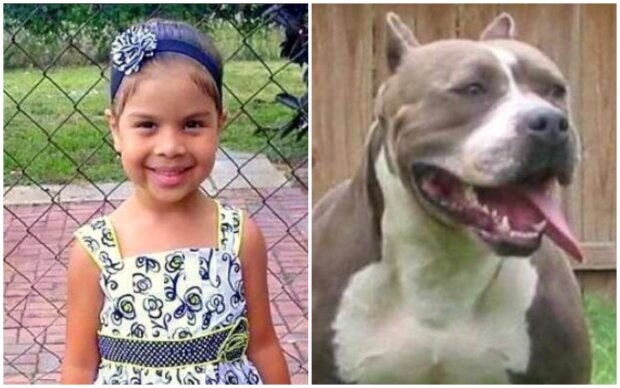 Remayah Hernandez und Pitbull Trigger. Quelle: Screenshot Youtube