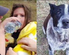 Das vermisste Mädchen wurde 17 Stunden lang von einem blinden Hund bewacht