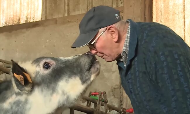 Von Hühnern und Herzen. Quelle: Youtube Screenshot