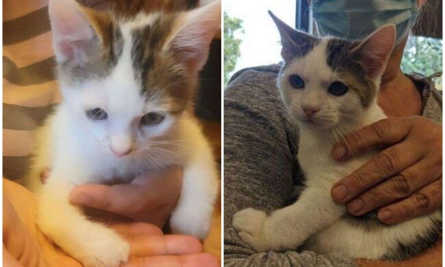 Jack und Jill. Quelle: Screenshot Youtube