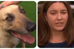 Hundehalterin und ihr Hund. Quelle: Video Screenshot