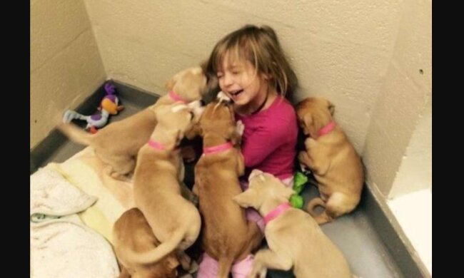 Mädchen und Welpen. Quelle: ntdtv.comQuelle: Screenshot YouTube