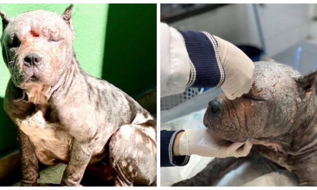 Athena. Quelle: Screenshot