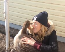 Die Gans mit Besitzerin. Quelle: Youtube Screenshot