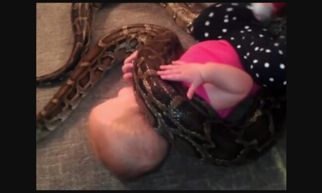 Das Kind ist mit Schlangen befreundet. Quelle: Youtube Screenshot