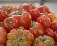 Wie nachhaltig ist die Tomate? Quelle: Youtube Screenshot