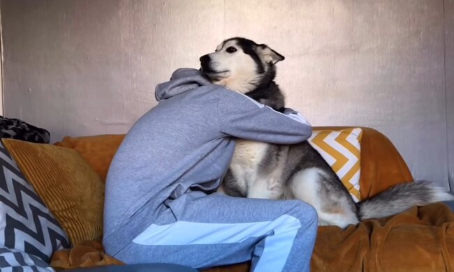 Pflege für pelzige Freunde. Quelle: Screenshot YouTube