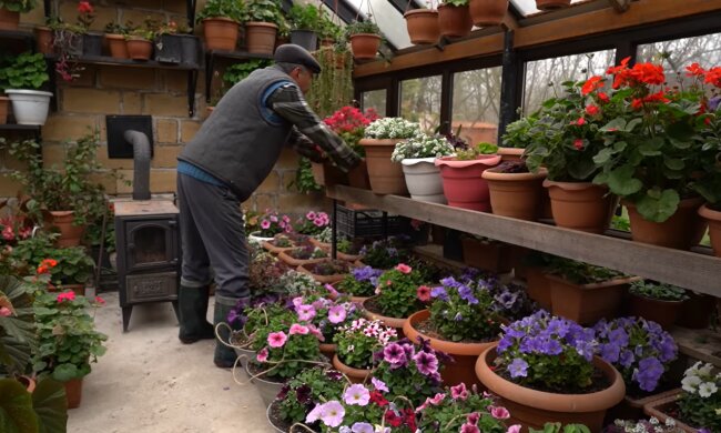 Hans und sein Garten. Quelle: Youtube Screenshot